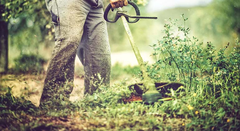 Entreprise débroussaillage professionnel