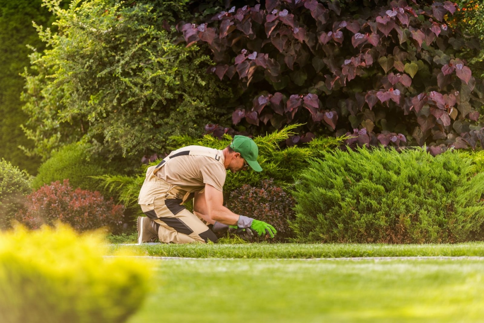 Artisan paysagiste entretien jardin